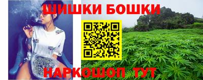 метадон Новозыбков